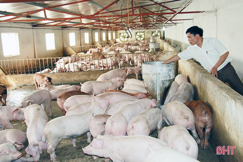 Lưu bản nháp tự động