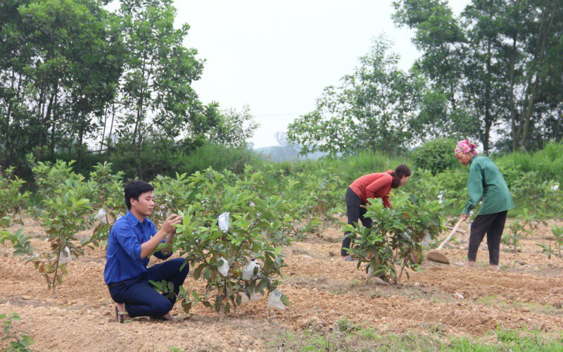 Lưu bản nháp tự động Lưu bản nháp tự động
