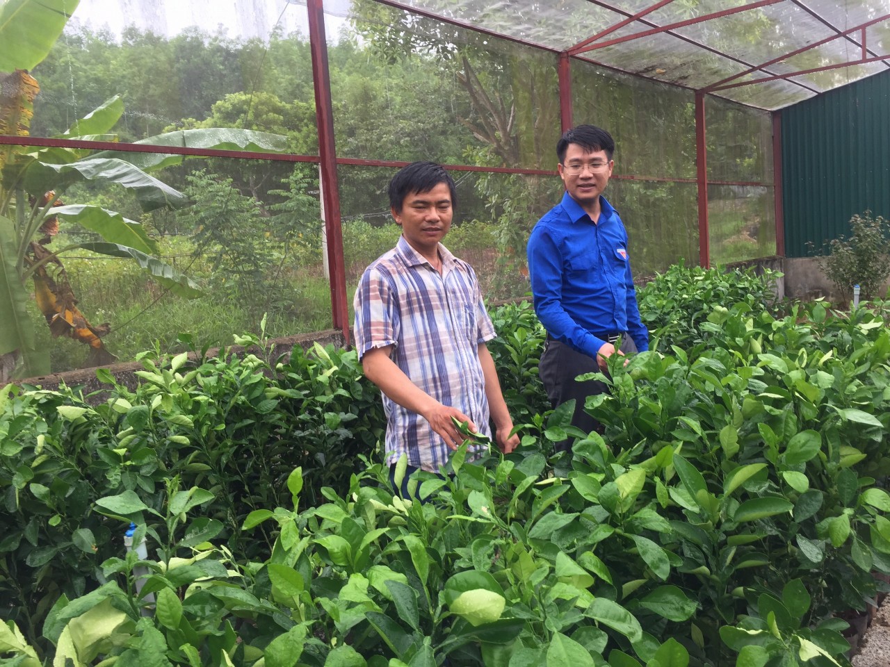 Lưu bản nháp tự động Lưu bản nháp tự động