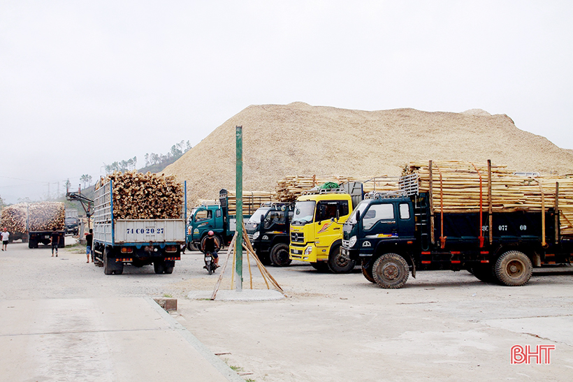 Lưu bản nháp tự động