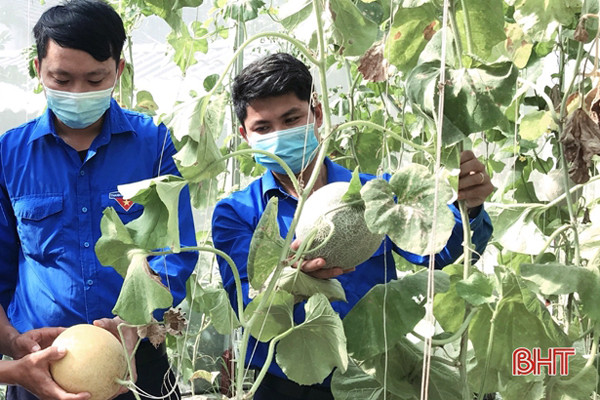 Lưu bản nháp tự động Lưu bản nháp tự động