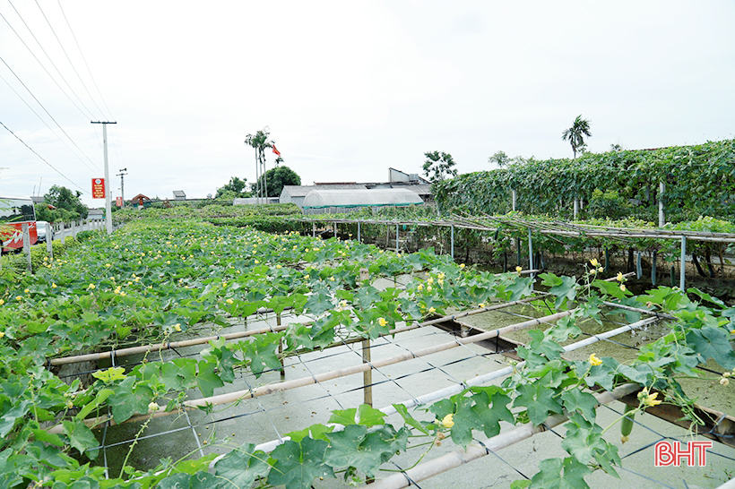 Lưu bản nháp tự động